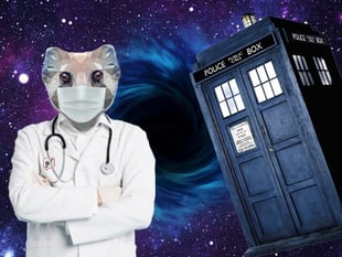 Dr Who? When to trust online health information