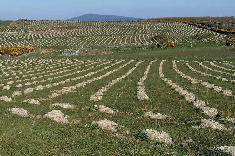 Gef's Daily Roundup