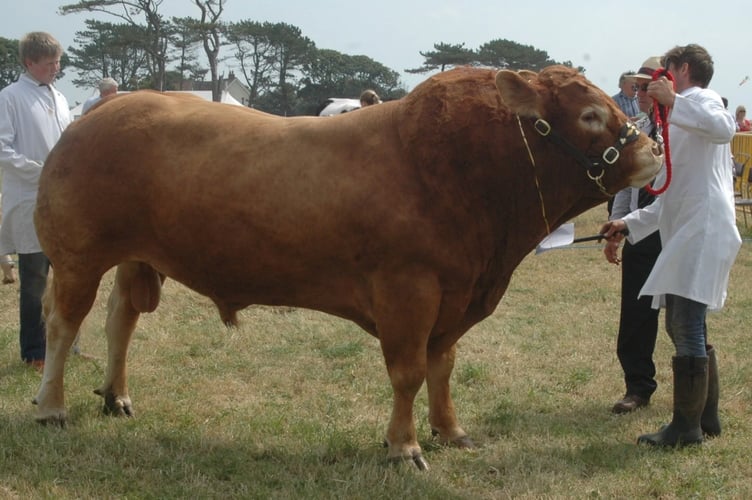 Southern Show on the Move