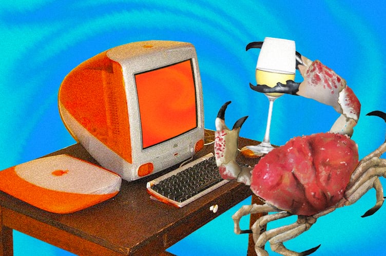 Crab Diaries: A Letter To Anonymous Online Crabs