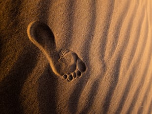 The Power of Grounding