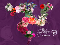 The Perfect Flower for Any Occasion