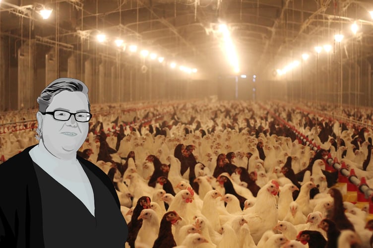 We Don't Fall Fowl of Cruel Farming