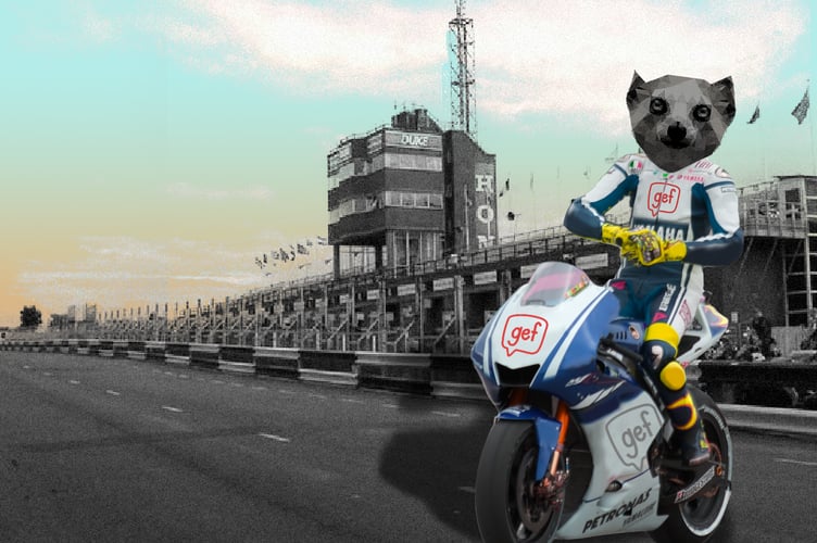 MGP to Return With Shorter Festival