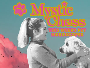 Mystic Chess' Pet Horoscopes
