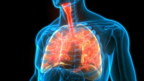 Cystic Fibrosis Medicine to be Made Available to Island Children