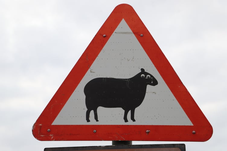 Gef's Daily Roundup