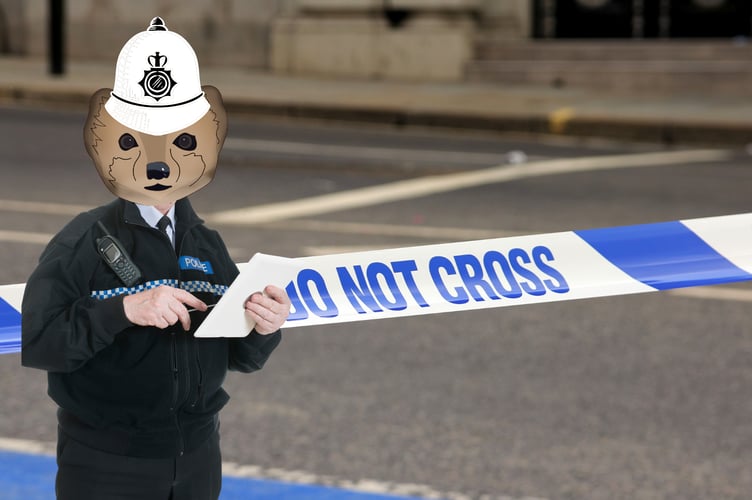Island's Next Top Cop to be Paid £146,000