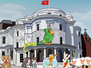 Pet Tynwald