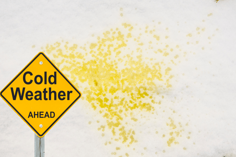 Snow and Sleet on the Way?