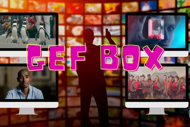Gef Box: Your Favourite Celebs are Returning to the Jungle