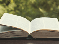 Sit Back, Relax and Read a Good Book