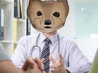 Rise in Missed GP Appointments