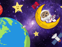 Mann on the Moon?