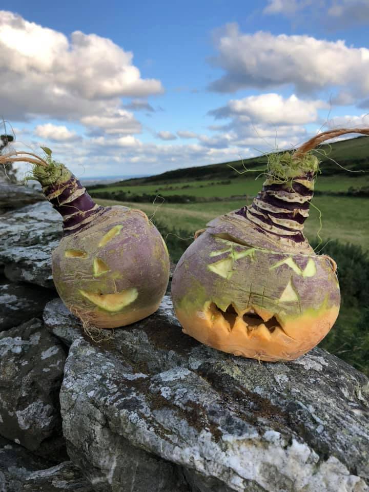 Halloween and Hop tu Naa
But why do your mates get so rattled when you say ‘halloween’ instead of ‘Hop tu Naa’?
Firstly, Hop tu Naa is an important and long standing part of Manx culture. The traditions I have already insightfully outlined for you (you’re welcome) are a unique part of the oldest continuously existing tradition on the Isle of Man - and that is a big deal!
Secondly: turnips. Not pumpkins, those are for losers. You have to have a turnip when you go Hop tu Naa-ing, or else it doesn’t count and you won't get any sweets. The turnip, or ‘moot’ is one of the key features differentiating the Manx tradition from elsewhere.
Hop tu Naa turnip (moot) lanterns by Jane Oates (2019), Culture Vannin
And thirdly, we know how the Manx love a song and a dance and Hop tu Naa is no exception. There is a whole range of popular folk songs with regional differences unique to Hop tu Naa as well as a traditional folk dance still practised across the island today. If you want to know more about this, Culture Vannin has an amazing Hop tu Naa section on its website.
Hop tu Naa dancing and music at an event organised by Maughold Social Club (2016). The instrument is being played by Dr Chloe Woolley. Culture Vannin
So, although Hop tu Naa is the Manx equivalent of halloween, it is an important part of our history and culture to keep alive.
Who was Jinny?
I know what you really want to know is: who was Jinny the Witch who flew over the house to catch a stick to lather the mouse?
Hop tu Naa artwork created by local artist Felicity Wood
The Manx song, ‘Jinny the Witch’ - still sung today - is based on the real life witch trials of a Manx woman named Joney Lowney.