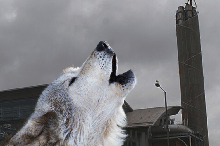 The Howling - A Manx Mystery Solved