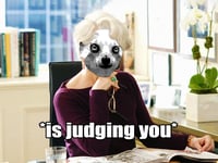 'Oh, you haven’t heard of it?' A Survivor's Guide to Dealing with Condescending People