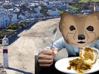 A Love Letter To Chips, Cheese & Gravy!