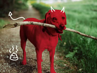 The Dark Side of Dog Walking in the Isle of Man: A Cautionary Tale