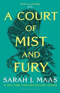 My Take on One of TikTok's Most Viral Fantasy Books