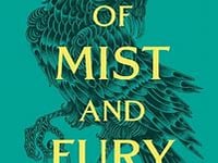My Take on One of TikTok's Most Viral Fantasy Books