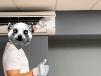 Cool Without the Cost: Seven Summer Energy Saving Tips