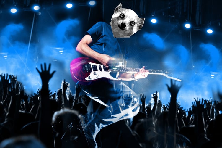 Gef's Guide To All Of This Week's Island Gigs