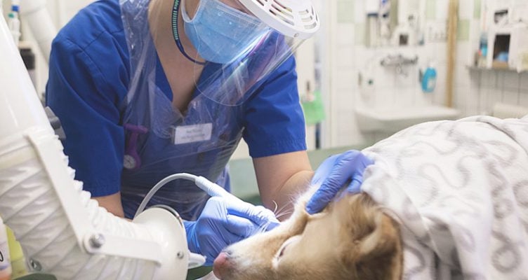 Vets Calls Time on Farm Services After Drop in Demand