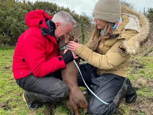 Sweet Result: Toffee Has Been Found!