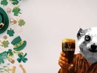 £2.99 Guinness? We’ve Tracked Down the Best Paddy’s Day Deals