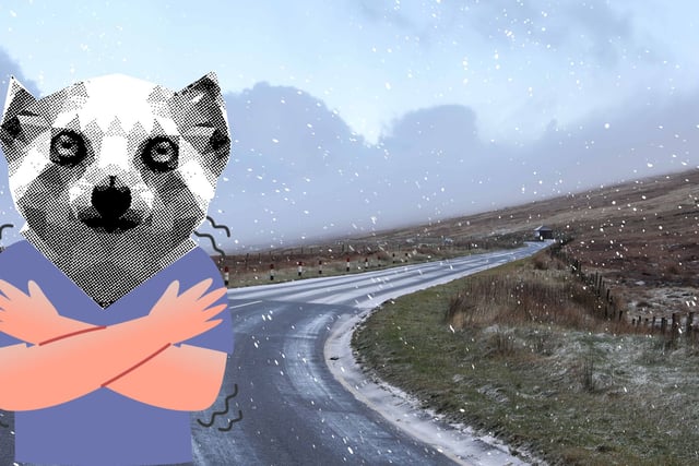 Wintry Showers...in Late March!