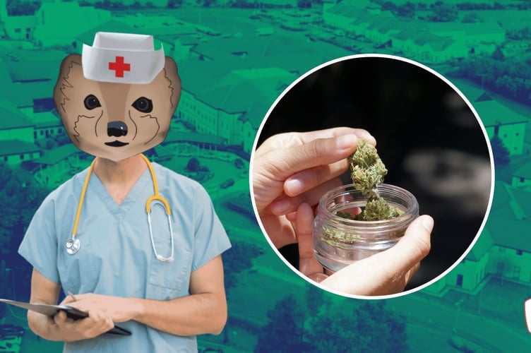 Hospital Sets Out Cannabis Rules