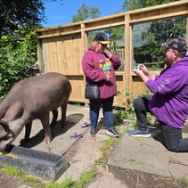 Love Is In The Air... And The Tapir Enclosure